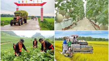 Hơn 46.400 tỷ đồng thực hiện các chương mục tiêu quốc gia tại Thanh Hoá