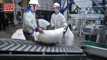 Cải cách vì một môi trường đầu tư bền vững