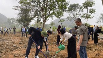 CTCP Tập đoàn AnhPhatGroup khai xuân và phát động “Tết trồng cây đời đời nhớ ơn Bác Hồ” Xuân Bính Ngọ 2026